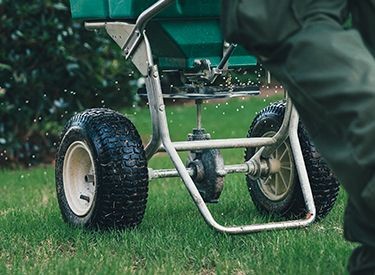 Lawn care Lawn fertilizer 