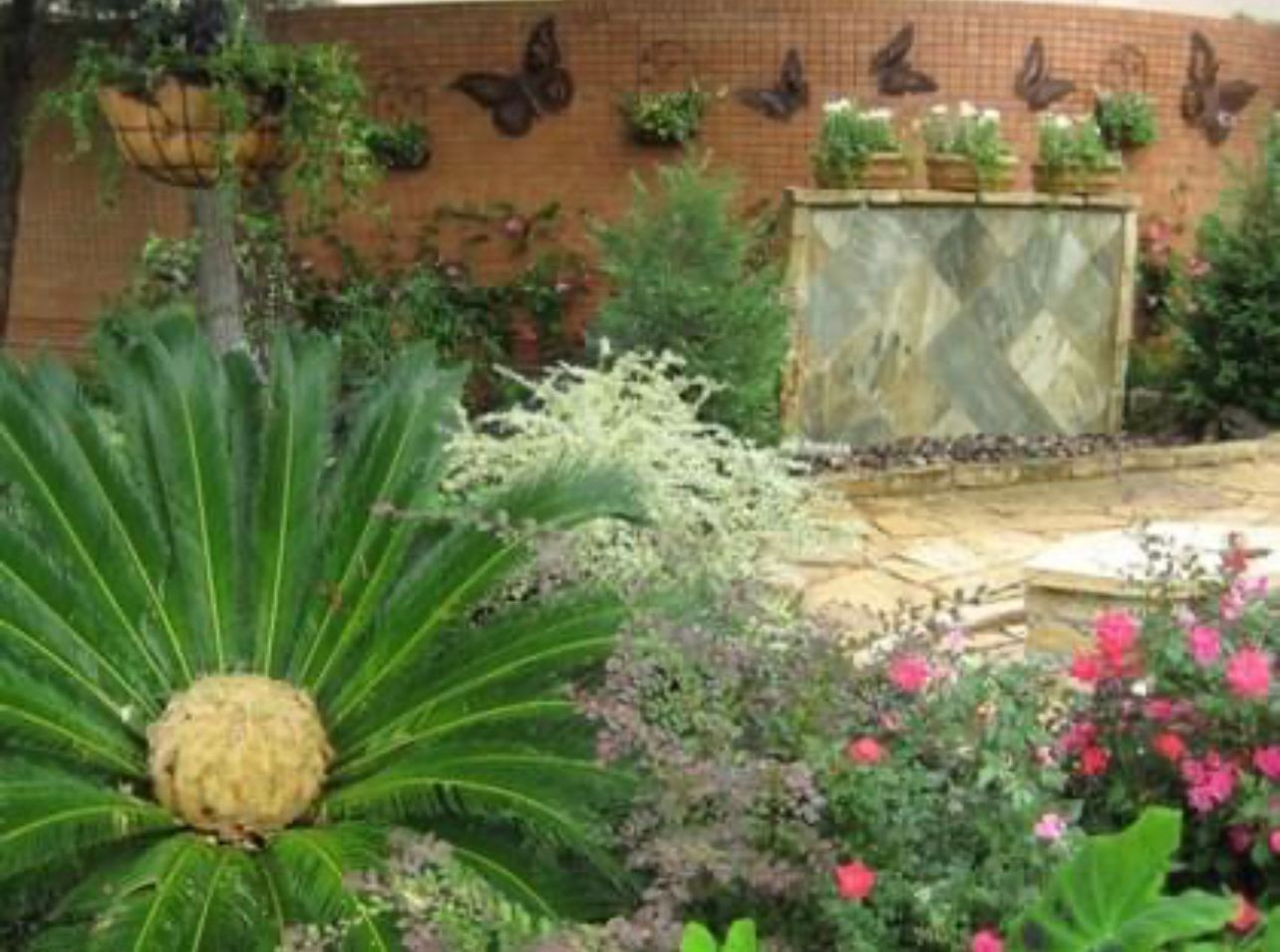 Ornamental Tree & Shrub Program